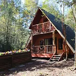 Casa Arbol