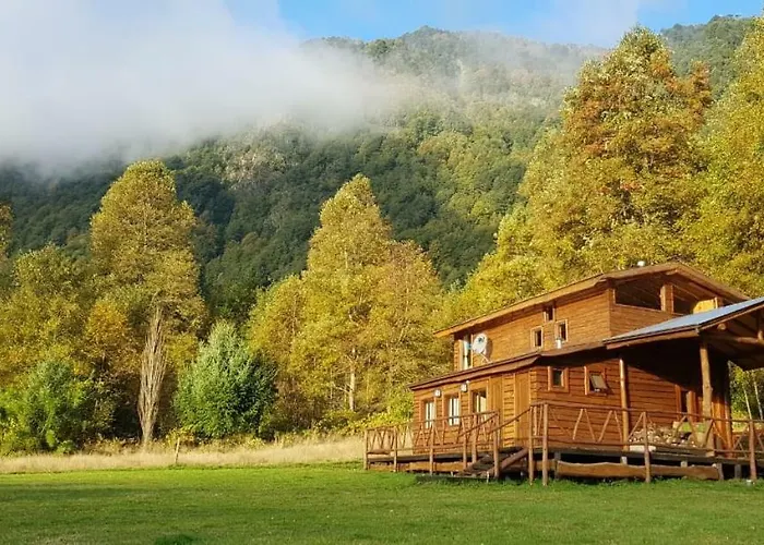 Casa Arbol