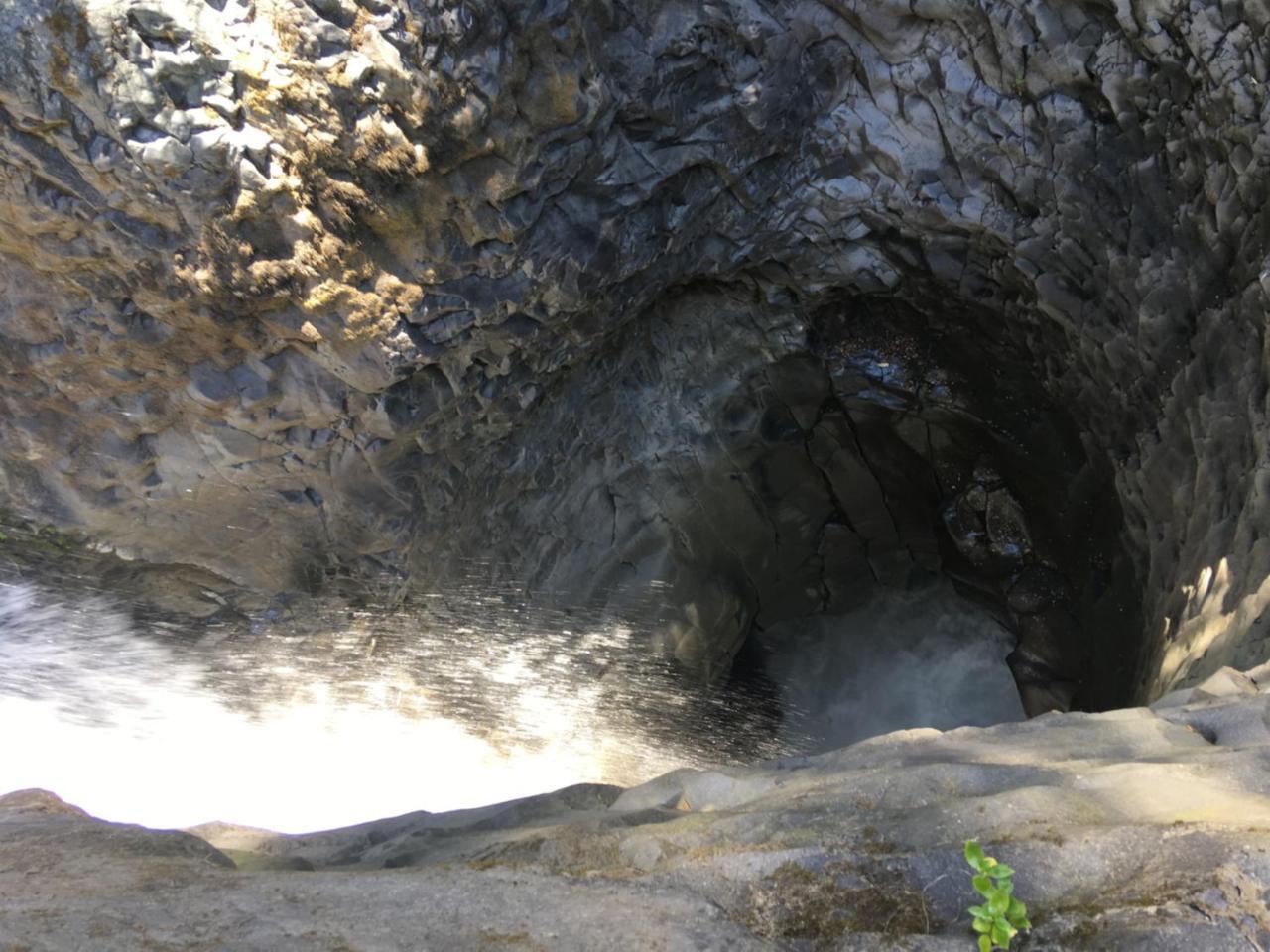 Casa Arbol Pucón