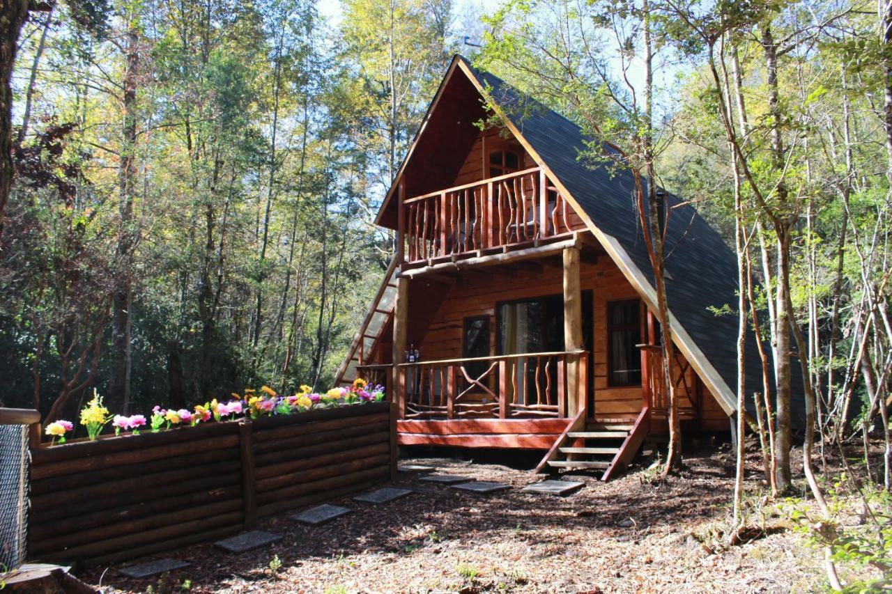 Casa Arbol Chalé