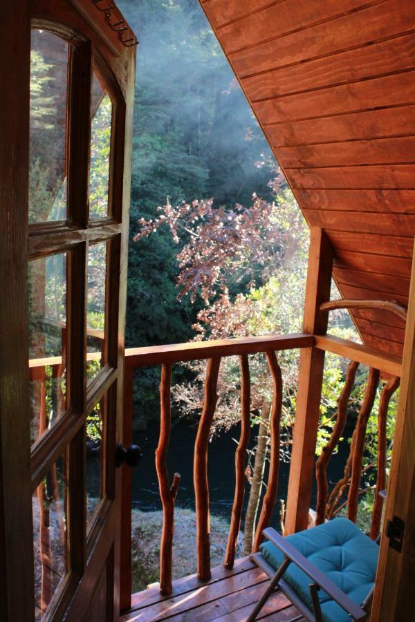 Casa Arbol *