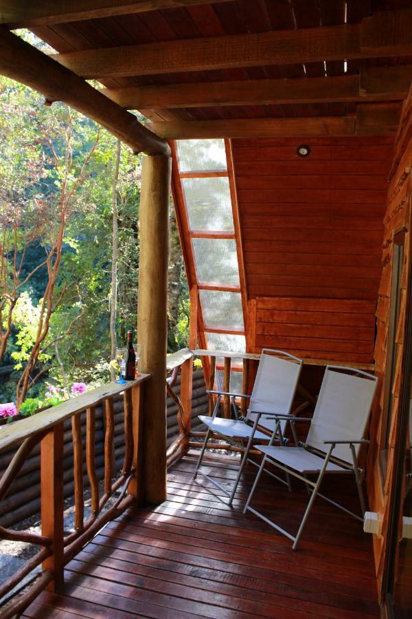 Chalé Casa Arbol *