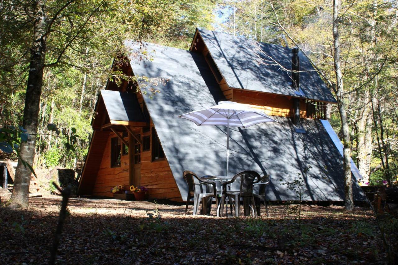 Casa Arbol
