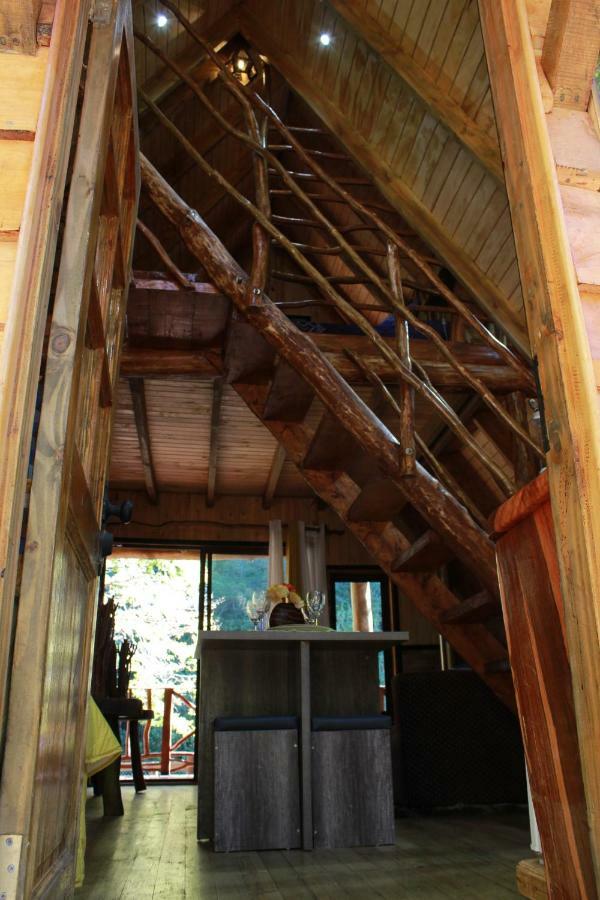 Chalé Casa Arbol *