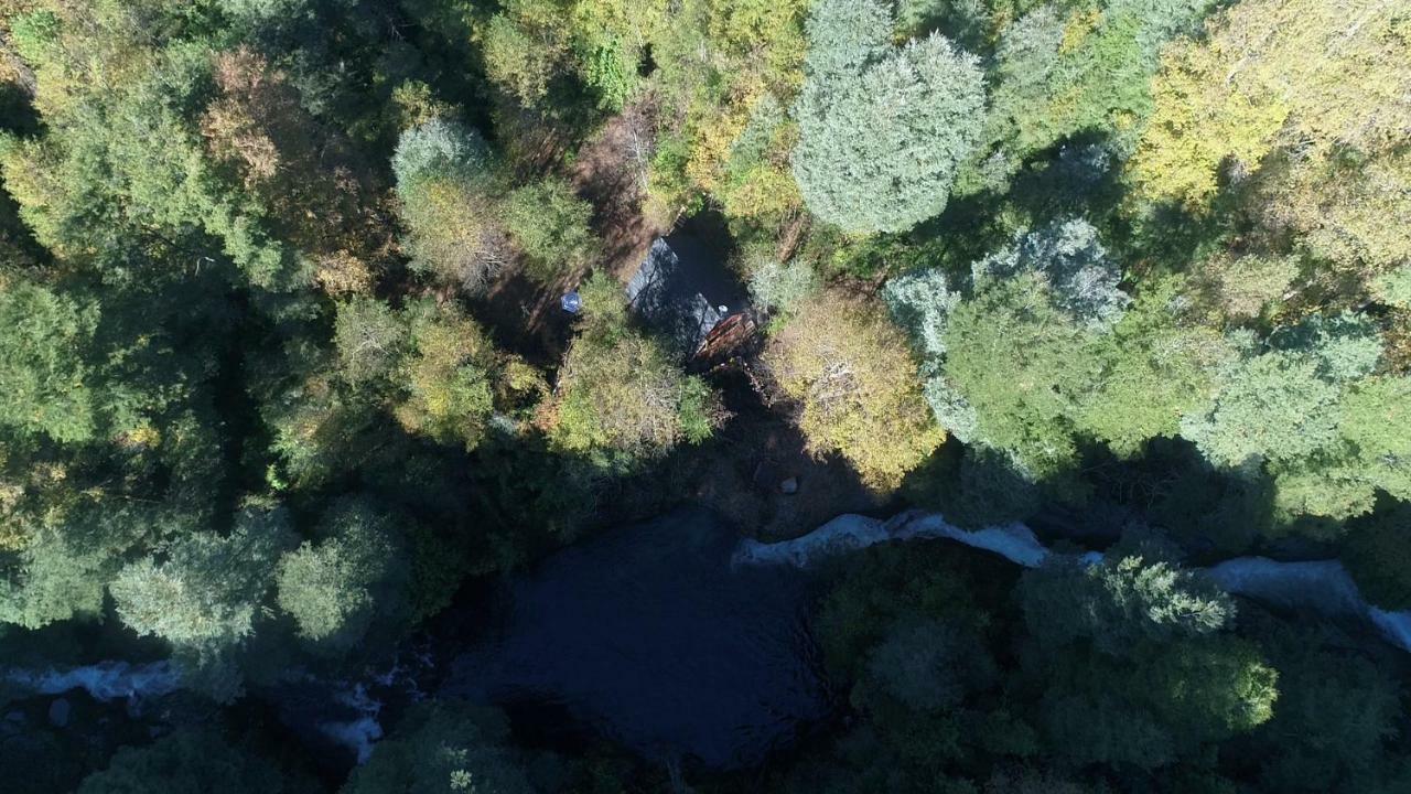 Chalé Casa Arbol Pucón