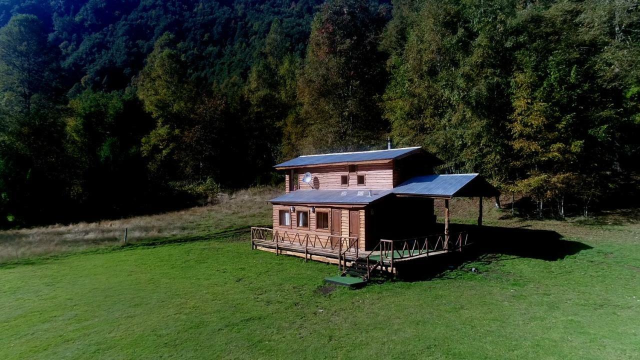 Casa Arbol Chalé